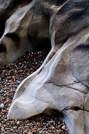 Nature WS - 07.jpg